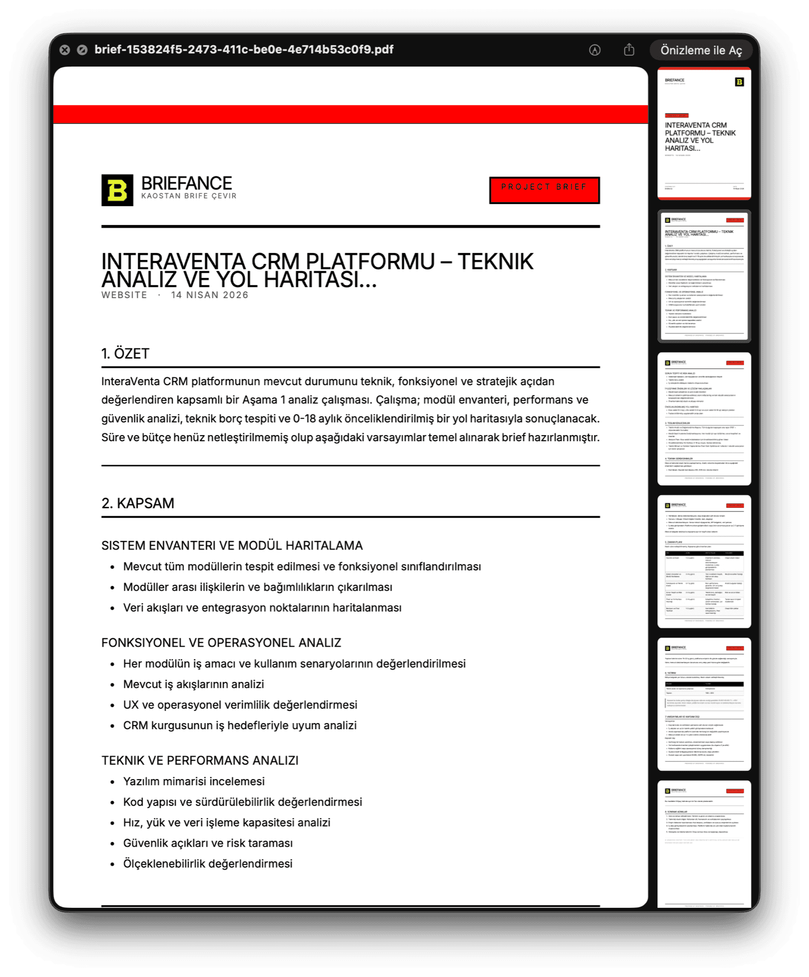 Briefance PDF export preview
